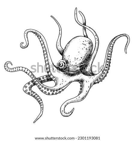 Octopus Outline Drawing | Free download on ClipArtMag