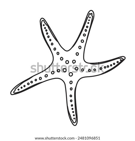 Starfish Vector illustration. Hand drawn sea Star Fish. Linear Drawing of seashell for design in nautical style. Outline Sketch of marine seashore for icon or logo. Black etching of underwater element