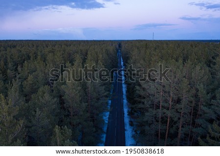 Asphalt road through the forest. Summer coniferous forest travel landscape. Long empty straight road and blue cloudy sky above. Foto d'archivio © 