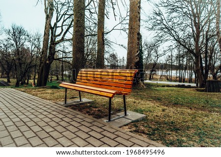 Lonely Bench in the City Park Stock foto © 