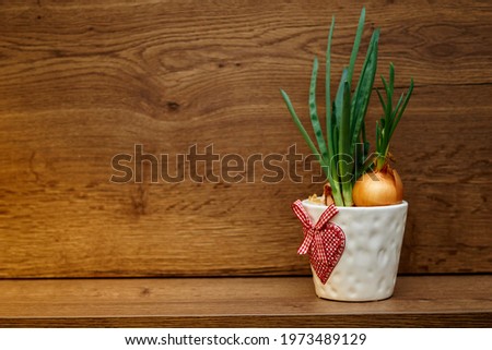 green onion in a white pot with heart pattern on the wooden background. High quality photo Stock foto © 