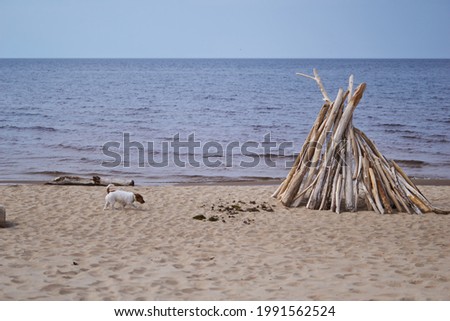 Similar – Image, Stock Photo Dog running on stone pier