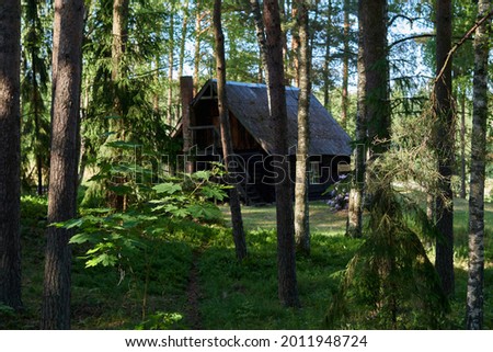 Countryside old rural house in the middle of the forest, like russian children's fairy tales. selective focus.