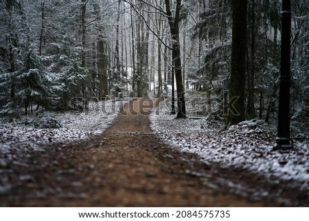 Similar – Image, Stock Photo Branches with snow