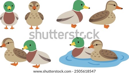 Similar – Image, Stock Photo A duck swims in a mountain lake