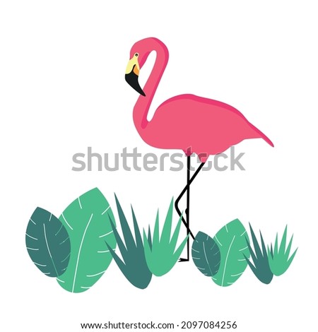 pink flamengo illustration icon vector	