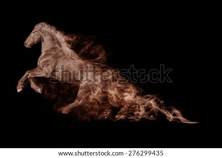 beautiful image of running horse in one color.. animal kingdom. running. wildlife picture.  tattoo.