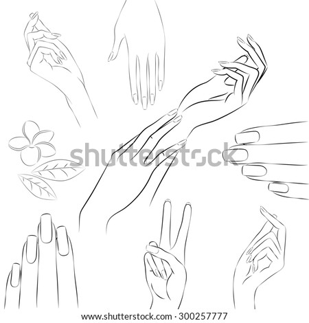 Manicure Hands. Collection Of Hand Drawn Outline Of Elegant Woman'S ...