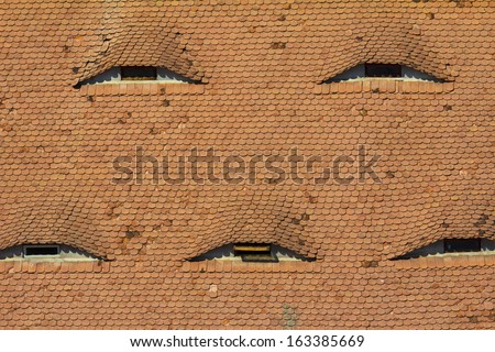 Eyebrow windows on tiled roofs in Hungary