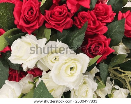 Similar – Foto Bild rote und weiße Blumen am Hochzeitstag