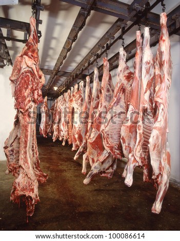 meat industry