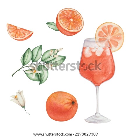 Watercolor illustration of hand painted orange cocktail in glass with slice of orange fruit, green leaves, flowers, cubical ice. Aperol spritz. Isolated clip art of goblet. Alcohol beverage drink