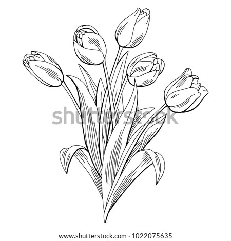 Tulip Outline | Free download on ClipArtMag