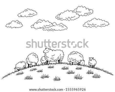 Sheep feeding grass on the hill graphic black white sketch illustration vector Foto d'archivio © 