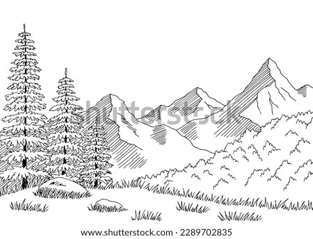 Similar – Image, Stock Photo Black and white forest in winter