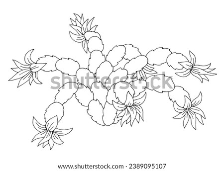Schlumbergera flower graphic black white isolated sketch illustration vector
