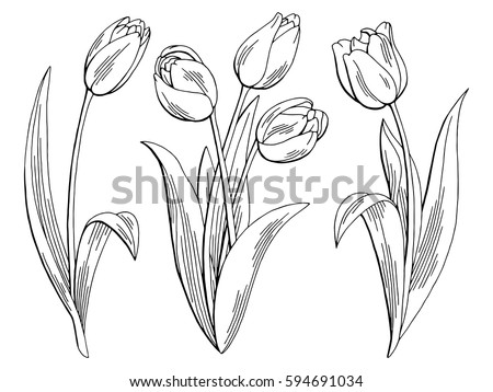 Similar – Image, Stock Photo single colourful tulip leaves arranged as a flower on a white background in the left part of the picture