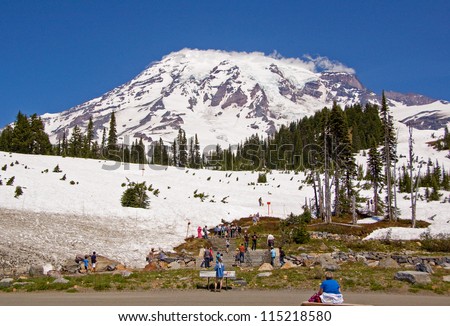 Photograph of one of the many views of grand Mount Rainier while within Mount Rainier National Park.