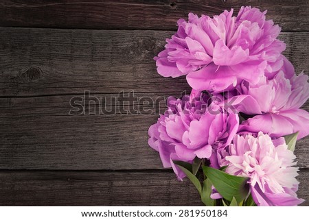 Pink peony flower on dark rustic wooden background with copy space for greeting message. Mother\'s Day and spring background concept