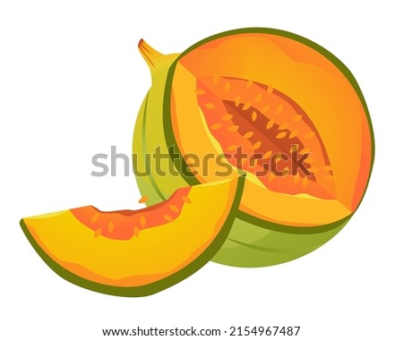 Vector illustration of a melon. Sliced melon with a slice. Ripe fruit.

