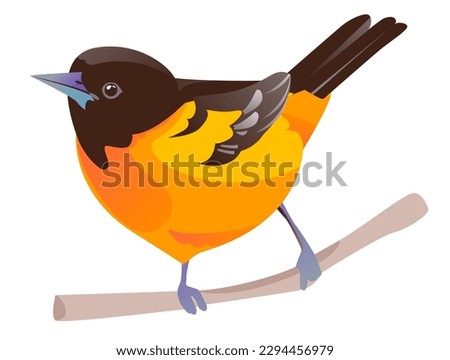 Bird Baltimore Oriole vector illustration isolated on a white background. A bird on a branch.