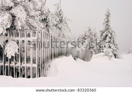fence in winter