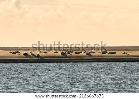 Similar – Image, Stock Photo Ebb tide on Helgoland