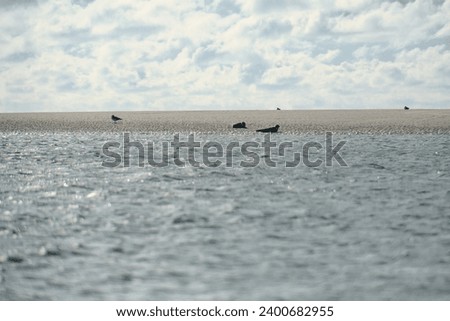 Similar – Image, Stock Photo Ebb tide on Helgoland