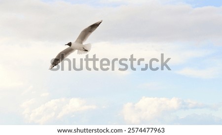 Similar – Image, Stock Photo See Baltic Sea