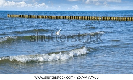 Similar – Image, Stock Photo Groynes on the coast of the Baltic Sea near Kühlungsborn