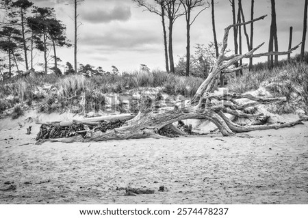 Similar – Image, Stock Photo See Baltic Sea