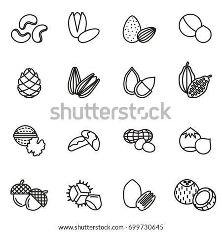 Nut icons Set. Line Style stock vector.