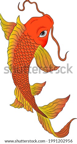 Koi fish hand drawn illustration, isolated on white, vector file, vector art, mascot, cartoon