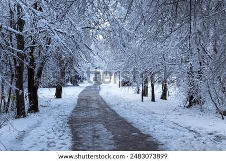 Similar – Image, Stock Photo winter forest in the snow / hunter tower near road in woods