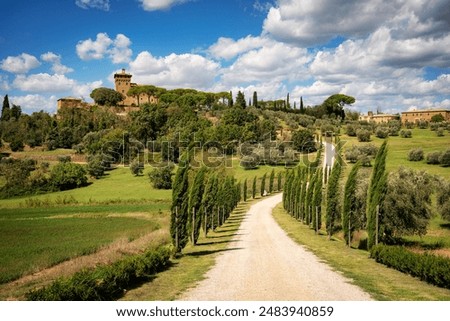 Similar – Image, Stock Photo Beautiful Tuscany landscape with cypresses in springtime