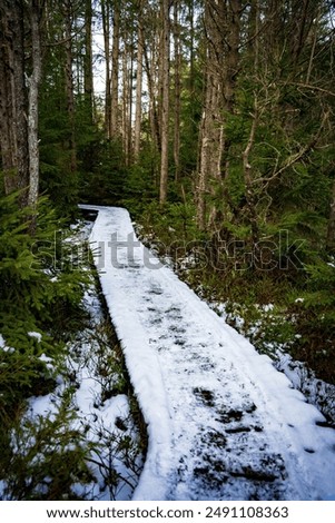 Similar – Image, Stock Photo Snowed in are paths, streams, bridges and forests. A pack of deer is looking for food and water.