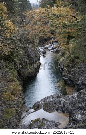 Similar – Foto Bild Bäche auf den Alpen Südtirols fünfzehn