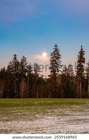 Similar – Image, Stock Photo Meditative evening mood