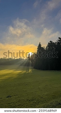 Similar – Image, Stock Photo Meditative evening mood