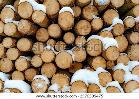 Similar – Foto Bild Winterbetrieb Wald Schnee