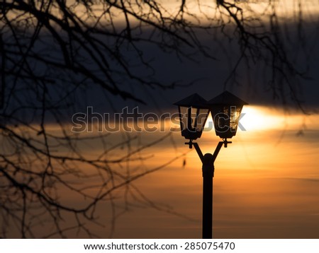 Street lantern and tree on a background of a sunset