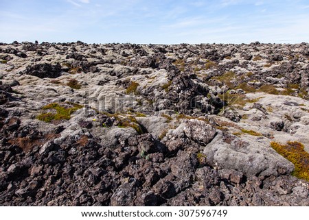 Moss covered lava field - Iceland
