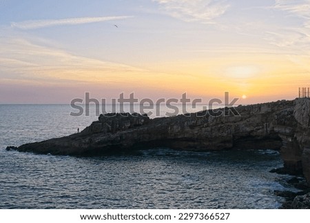Similar – Image, Stock Photo Rippling sea with rocky coast in twilight
