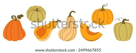 Set of simple autumn pumpkin. Hand drawn pumpkin squash in warm natural fall colors isolated on white. Vector illustration - autumn themes, Halloween, Thanksgiving design elements. Cute Pumpkins