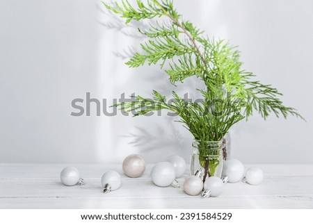 Similar – Image, Stock Photo Bouquet of cypress branches in ice cream cone