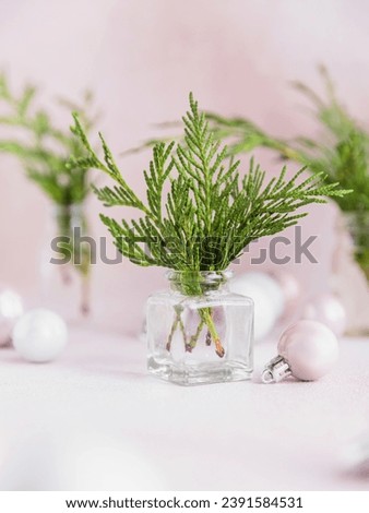 Similar – Image, Stock Photo Bouquet of cypress branches in ice cream cone