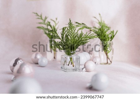 Similar – Image, Stock Photo Bouquet of cypress branches in ice cream cone