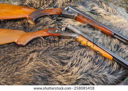 two hunting gun on the skin of wild boar
