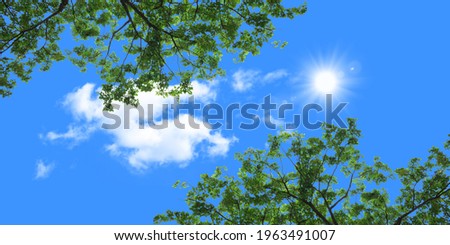 Similar – Image, Stock Photo Sky, clouds and tree tops