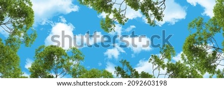 Similar – Image, Stock Photo Sky, clouds and tree tops